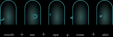 五感という五つのレセプター