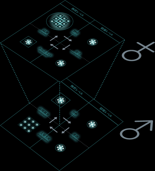 協調社会のモデル